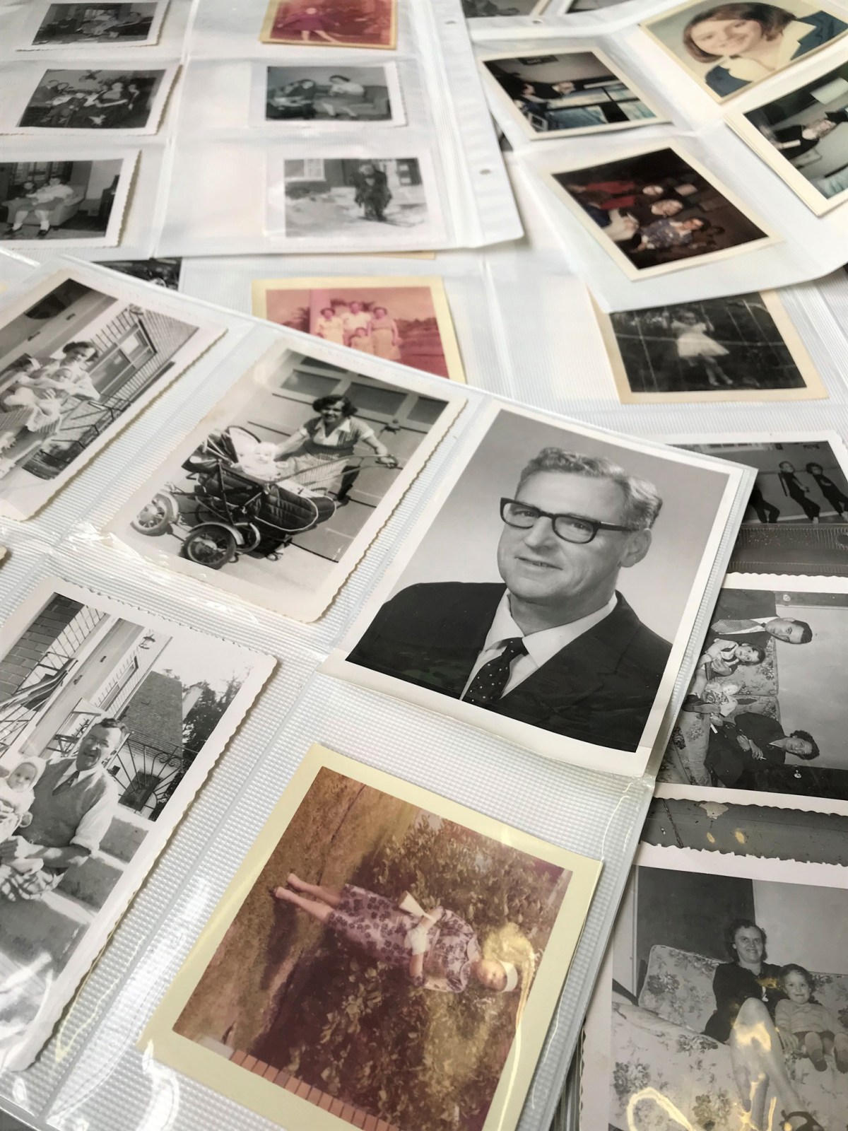 Julia C Pomeroy - Commissions